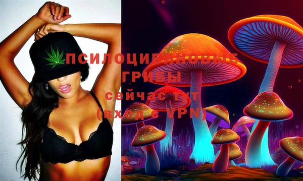 бошки Володарск