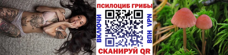 Галлюциногенные грибы прущие грибы  Вытегра 
